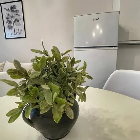 Cozy apartment between Mamaia&Constanta Constanţa